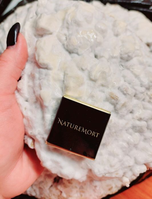 Ежовик гребенчатый/ їжовик грибінчатий. Мицелий