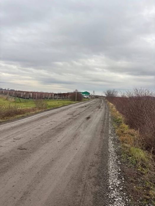 Фото ділянки