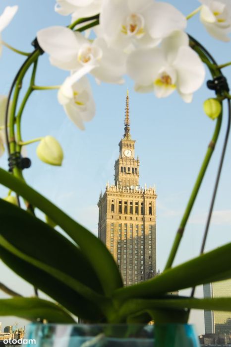 kawalerka / studio in the city center GREAT VIEW!!!