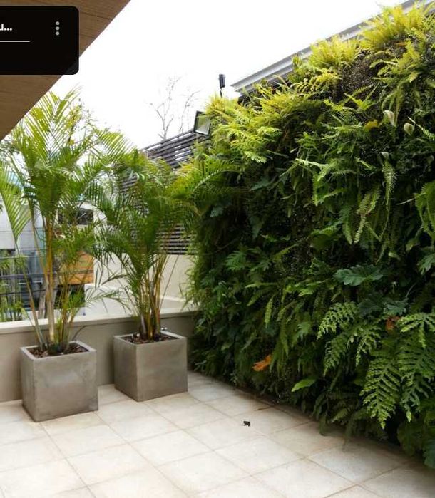 Precisa de renovação, planeamento e design profissional.