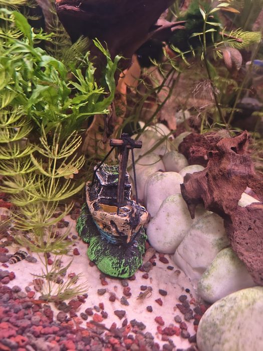 Statek do akwarium prawie nowy