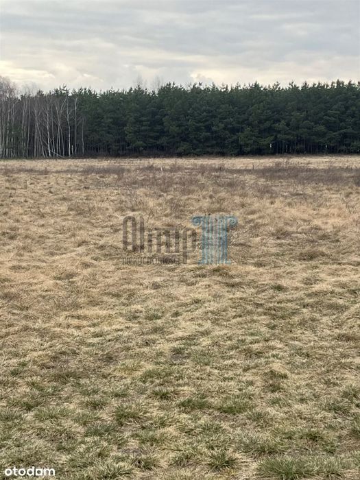 1244m2 Znakomita działka w centrum Nowe Dąbie
