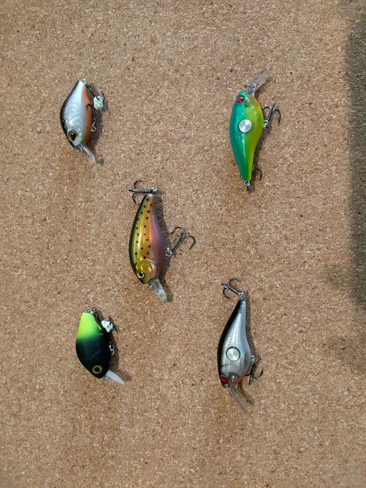 Amostra para pesca