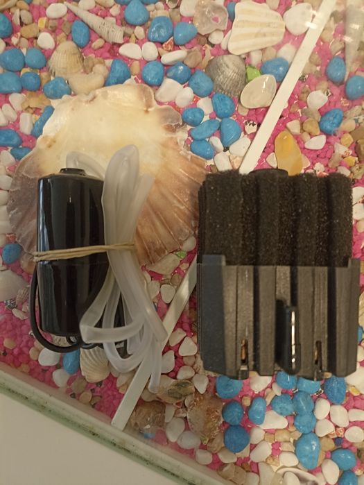 Decorações e Acessórios para aquário