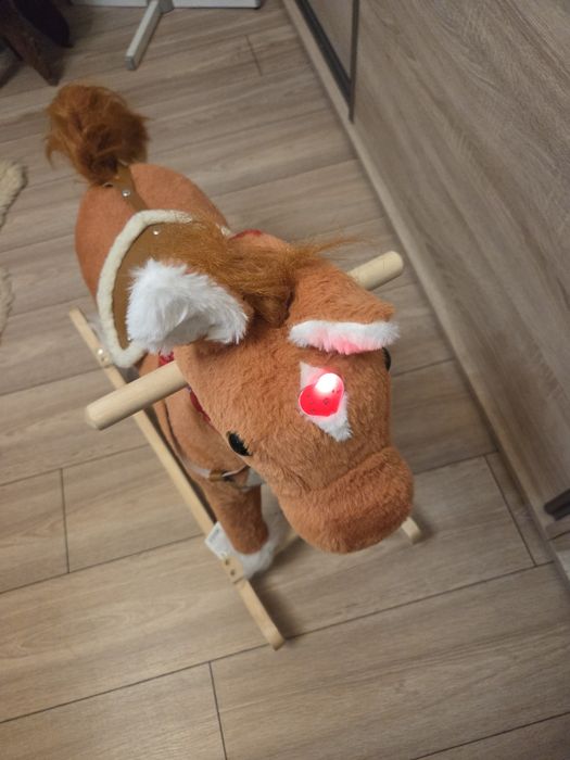 Konik, konik na biegunach, koń na biegunach, koń