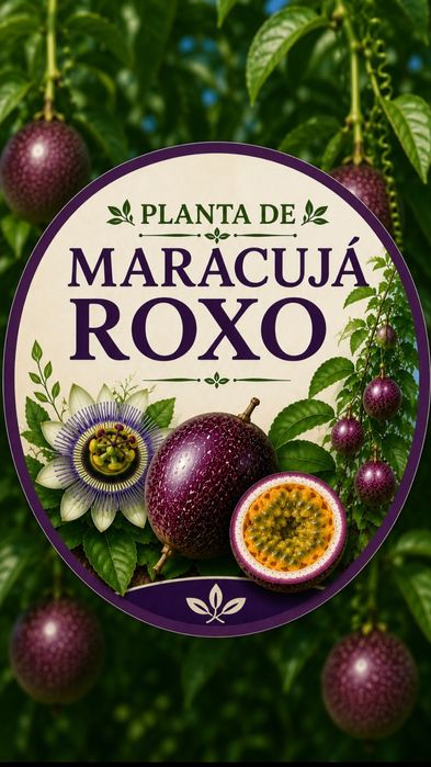 Planta Maracuja Roxo ducinhos