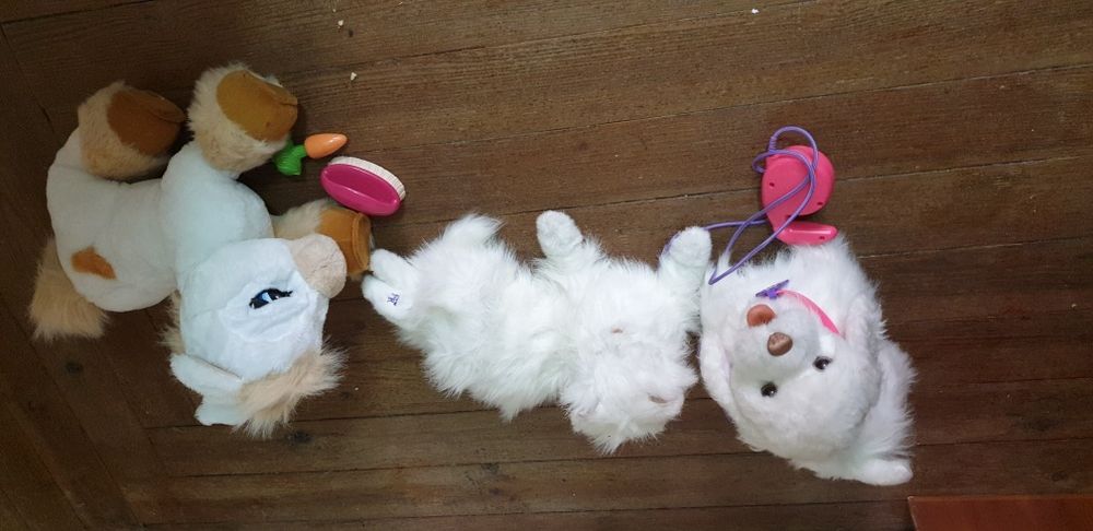 Animais interactivos