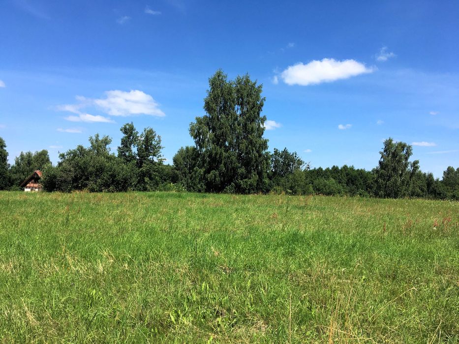 Działki nad jeziorem Dadaj (2ha)