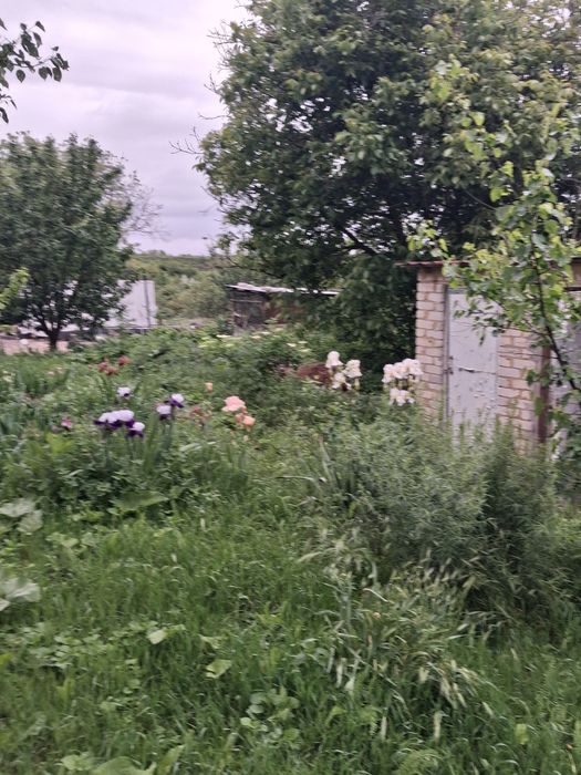 Продаж будинку на Ст.Балашівці