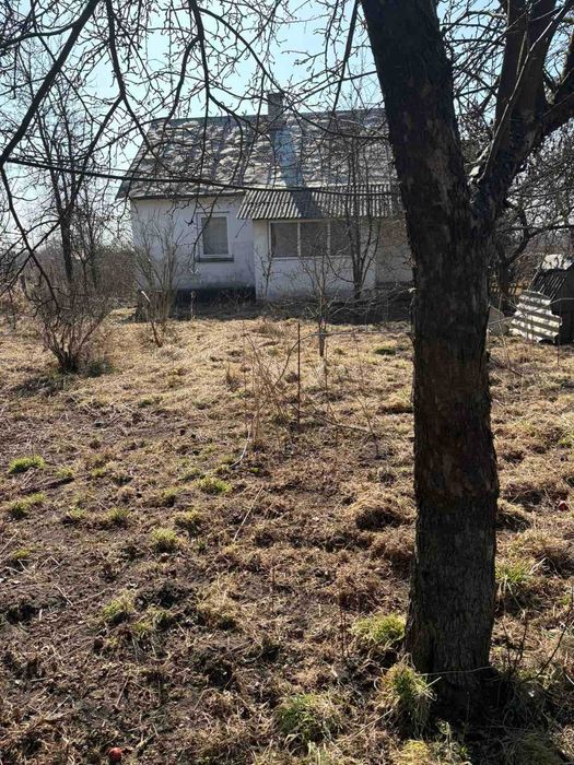 Житловий будинок та земельна ділянка 25 сот. смт. Добротвір