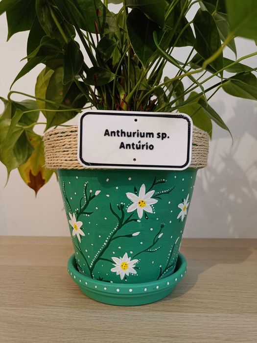 Vaso decorativo moderno e original