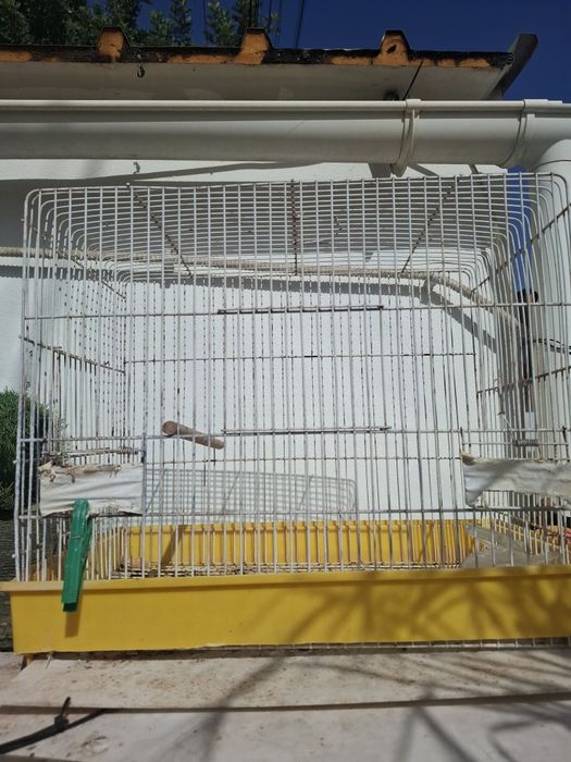 Algumas gaiolas disponíveis