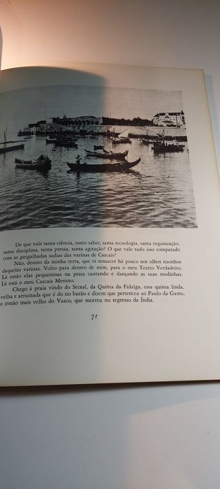 Cascais Menino - Pedro Falcão (2ª edição, 1981)