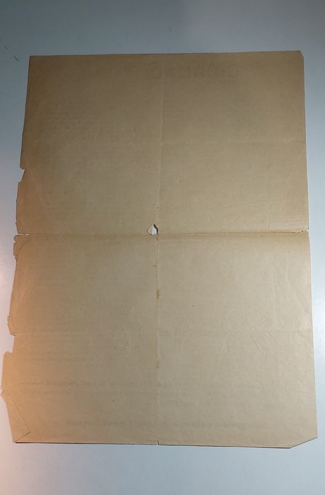 Constituição de 1933 Panfleto Pró-Governo | Exemplar Original