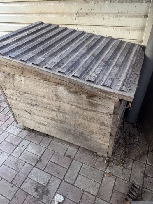 Буда  для великого собаки.