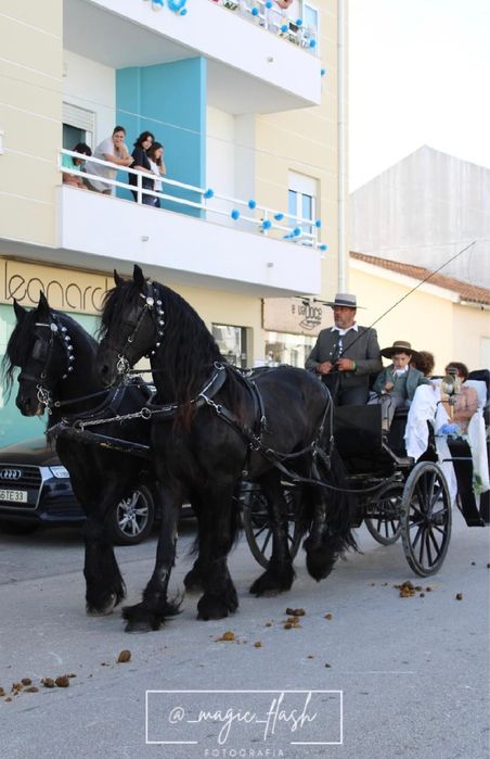 Festas/casamentos/eventos