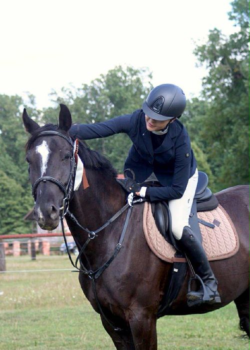 Kary wałach wielkopolski 5 lat
