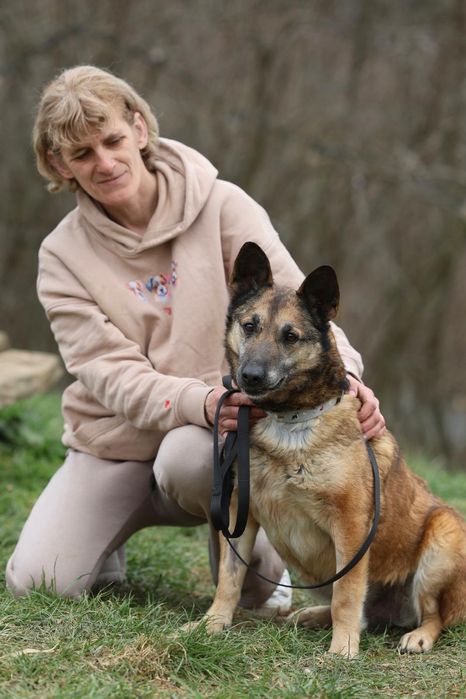 Do adopcji samiec ok 9lat
