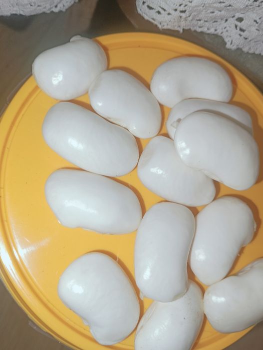 Fasola piękny Jaś mokry