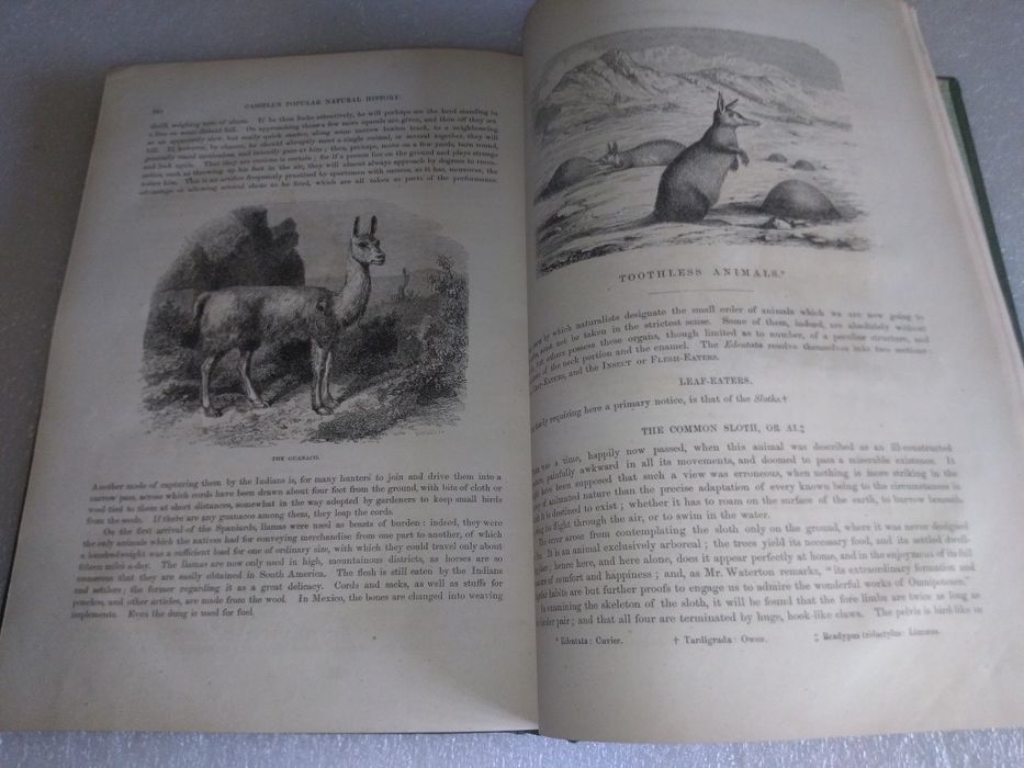 Raro e Antigo Livro cassell's popular natural history vol.2