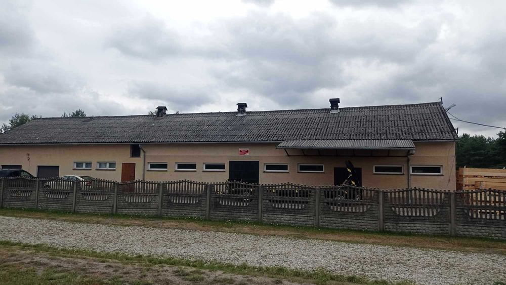 Odbiór eternitu, demontaż i utylizacja azbestu, pakowanie