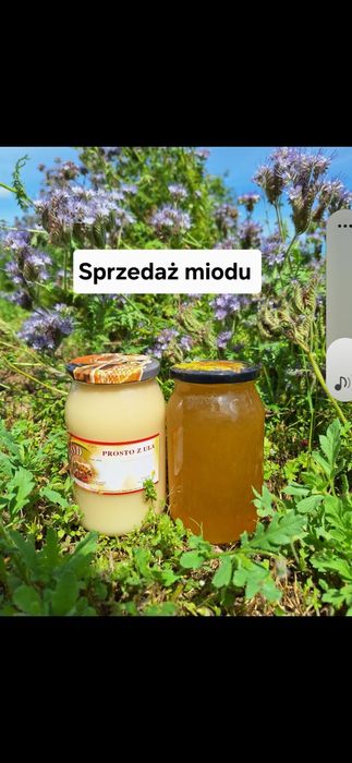 Sprzedam Miód tegoroczny