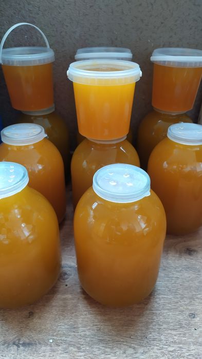 Мед натуральний без сахару