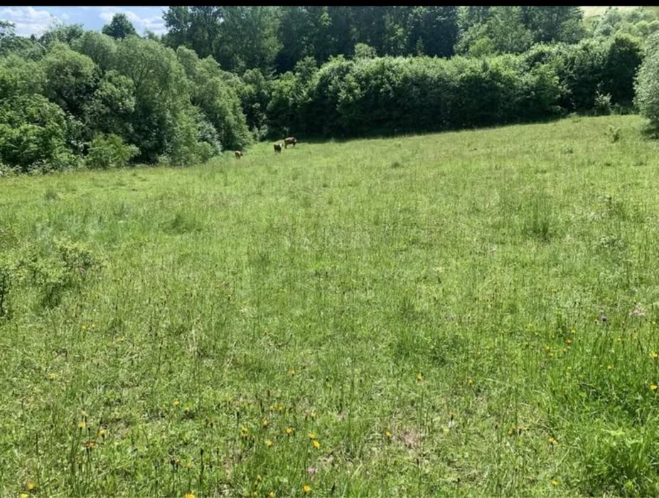 Dzialka budowlana 1.32ha