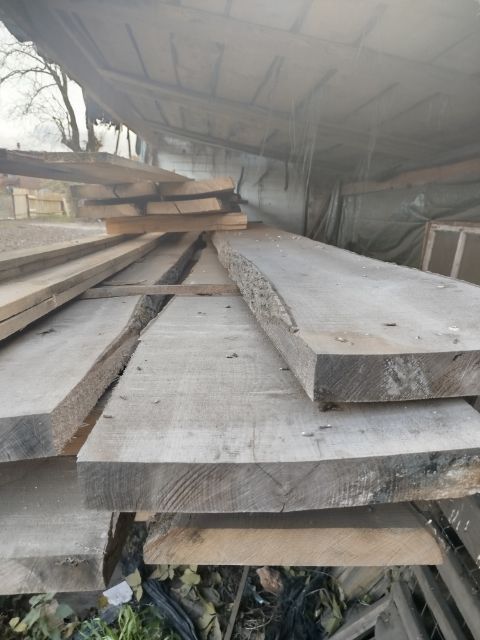 Brusy dębowe i jesionowe