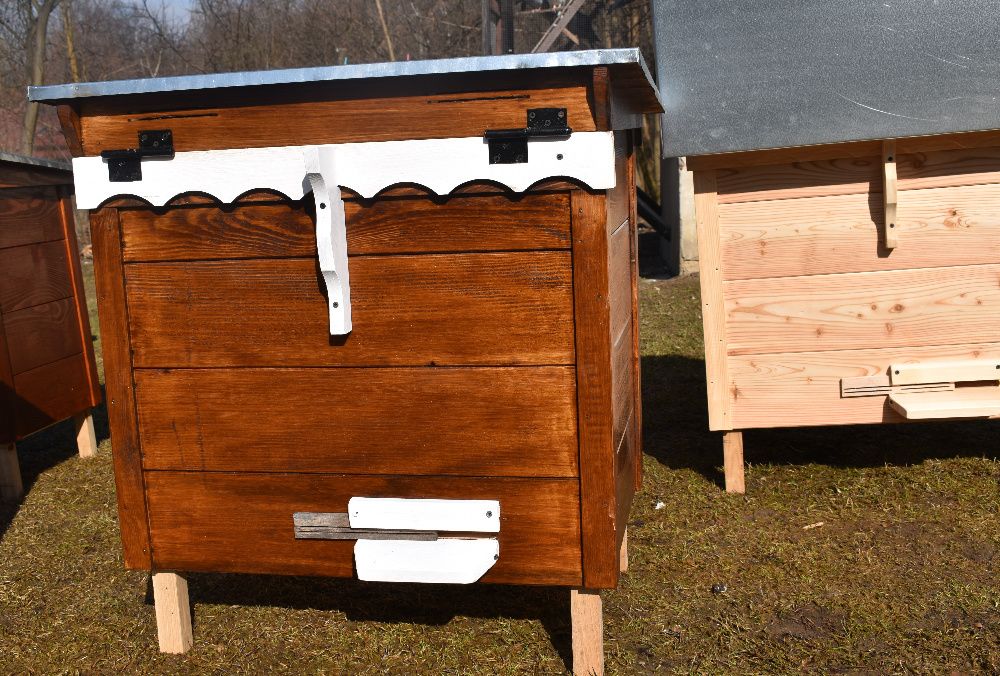 Ule warszawskie poszerzone