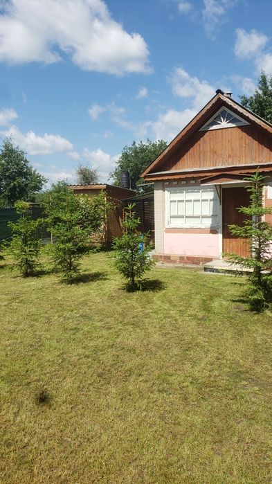 Дача в кооперативе сосновый бор