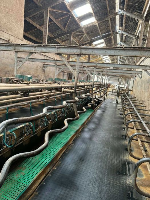 Hala udojowa Westfalia GEA 2x16 Swingover 50°