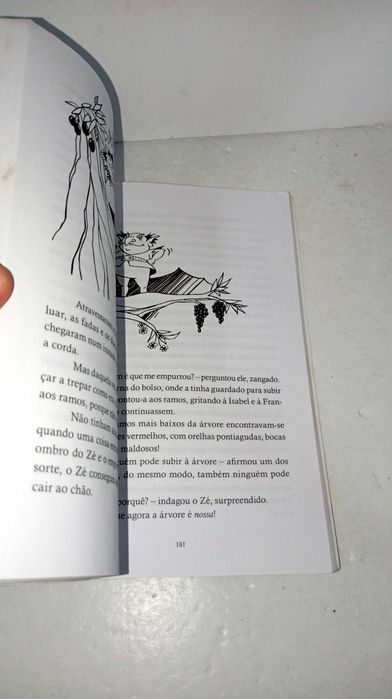 A Floresta Encantada