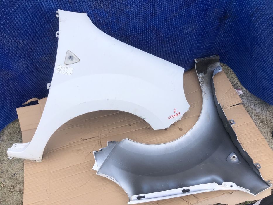 GUARDA LAMAS KANGOO III 3