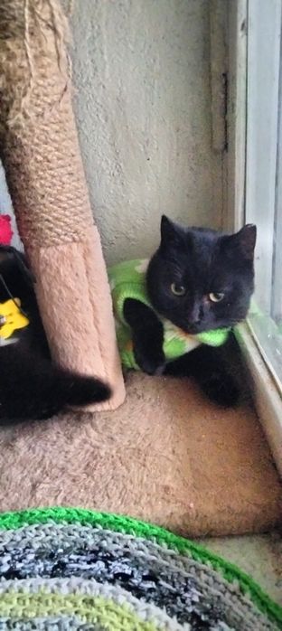 Мамо,знайдись,я тебе дуже чекаю!