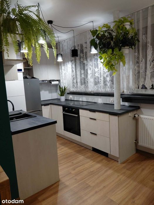 Dwupokojowe mieszkanie po generalnym remoncie