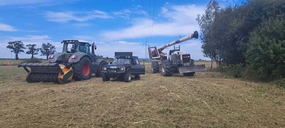 Przycinanie drzew, wycinka, mułczowanie zarośli