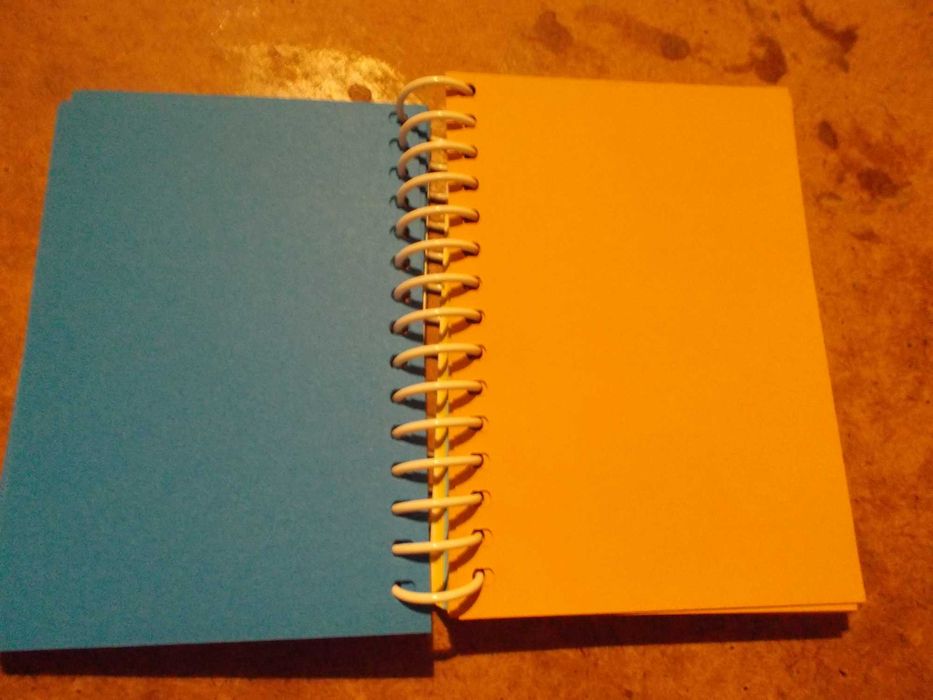 pequeno caderno em espiral da Evax