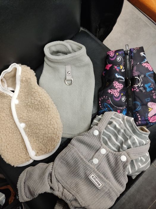 Одежда для собак