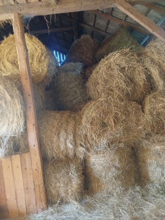 Sprzedam siano w belach