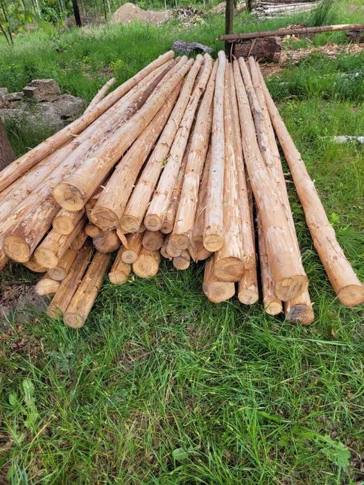 Żerdzie jodłowe korowane