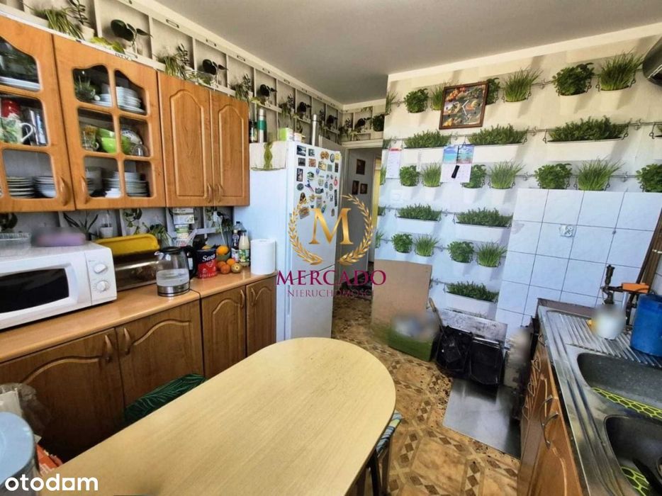 Dwustronne mieszkanie w zielonej okolicy, 5300/m2