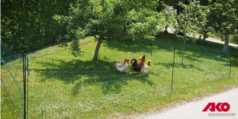 Siatka elektryczna dla drobiu Premium,Siatka drobiowa elektryczna