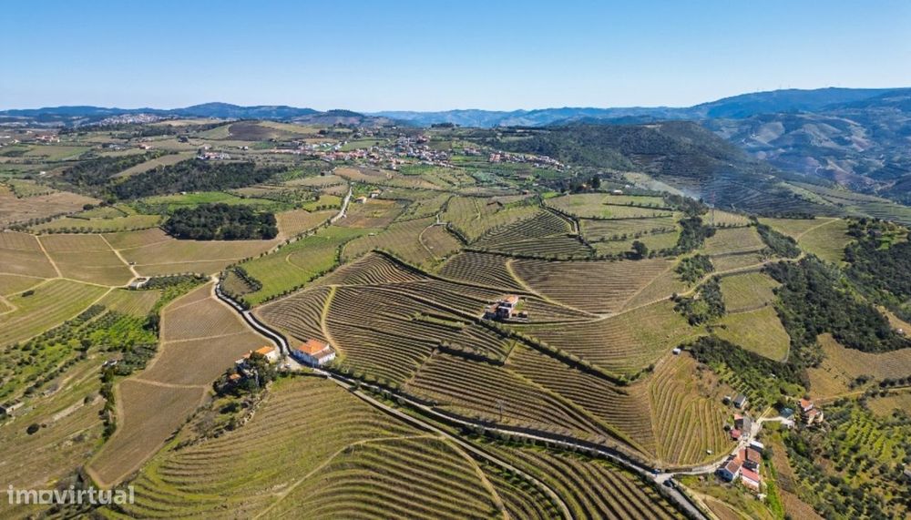 Quinta vínicola à venda no Peso da Régua no Douro Valley