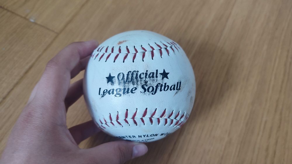 Profesjonalna amerykańska piłka do softballu