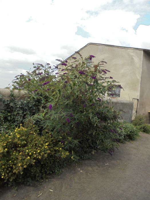 Nocleg dla pracownika, kwatery pracownicze