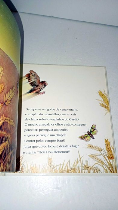 O Ouriço-Cacheiro Gastão Brincalhão - Animais Bebés