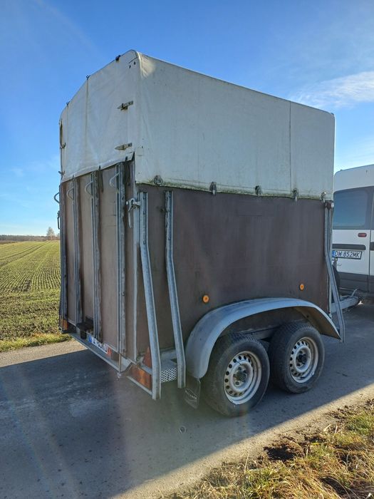 Przyczepa na konie böckmann 98rok z Niemiec