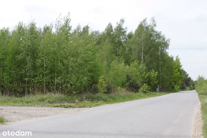 Sprzedam działki budowlane w Gąskach pod Warszawą