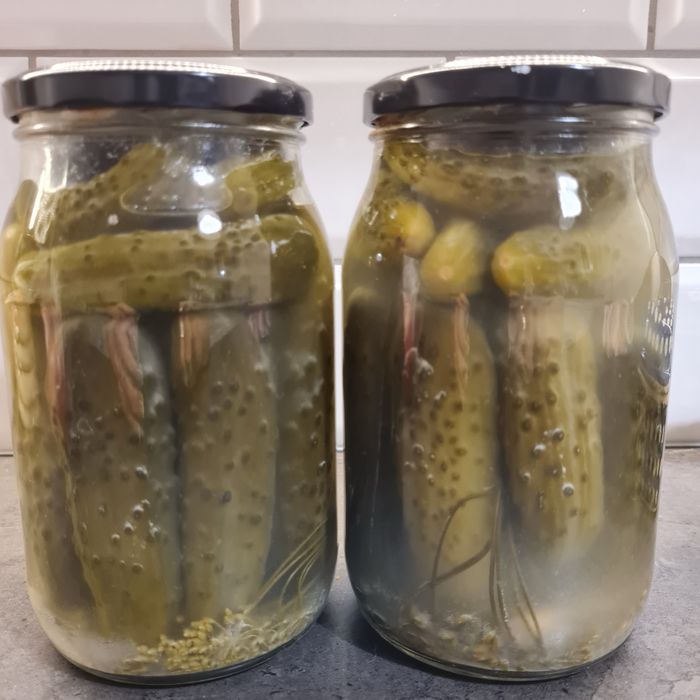 Ogórki kiszone ekologiczne 3x900ml